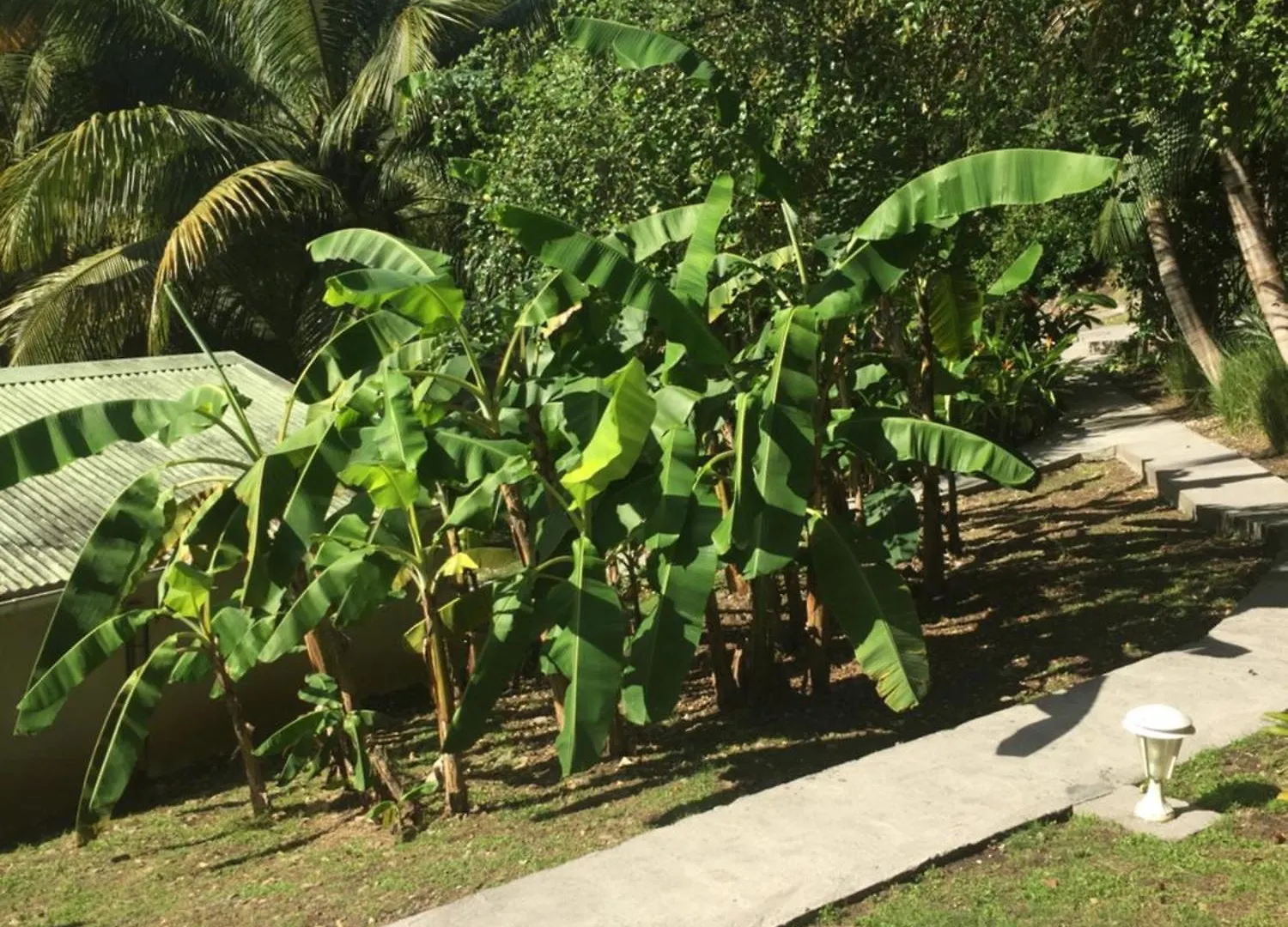 Hébergement de vacances Villa Gwada Reves à Sainte-Anne