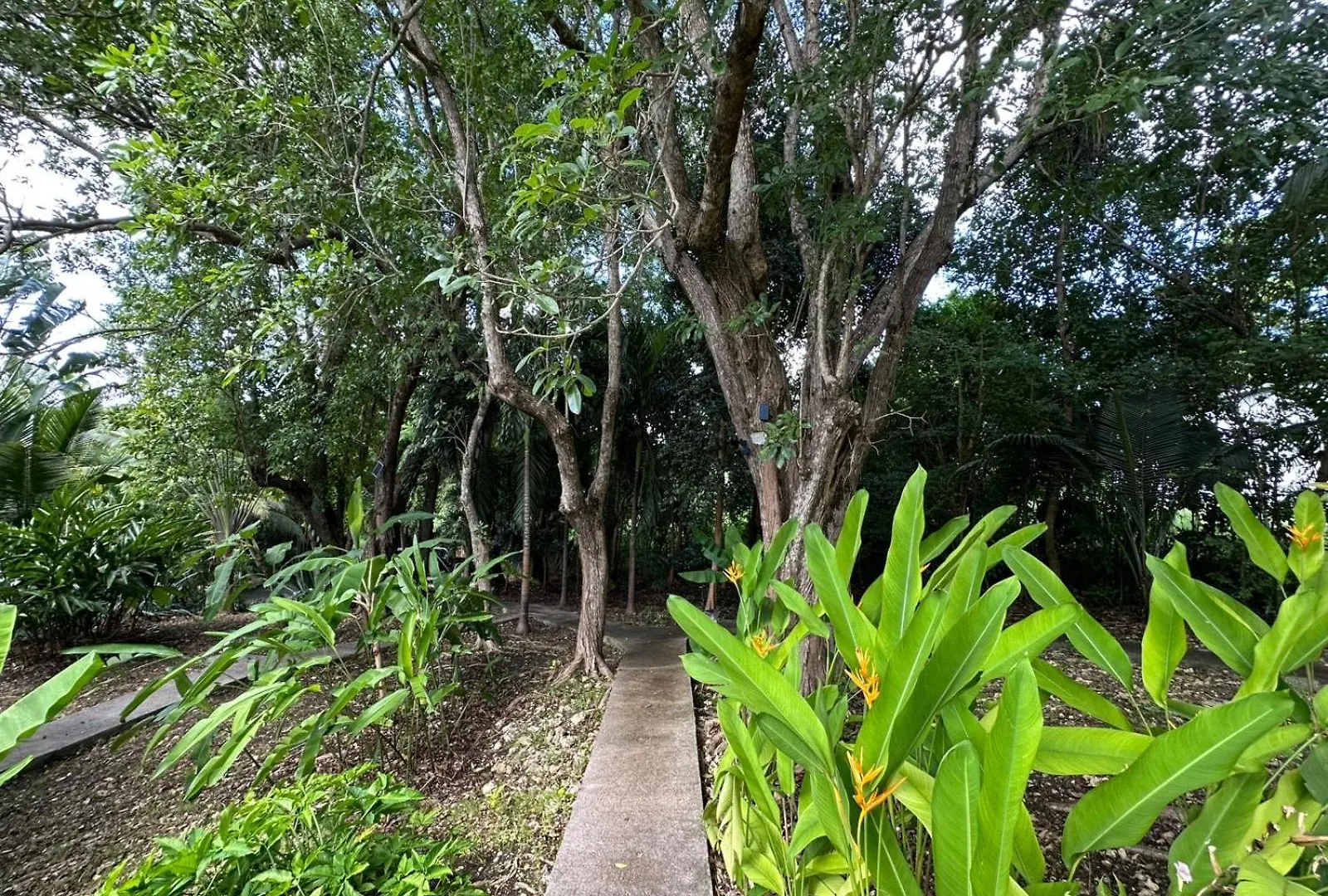 Villa Gwada Reves à Sainte-Anne  Guadeloupe