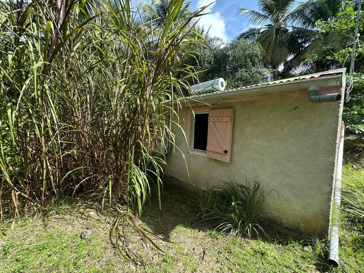 Villa Gwada Reves à Sainte-Anne  Sainte-Anne (Grande-Terre)