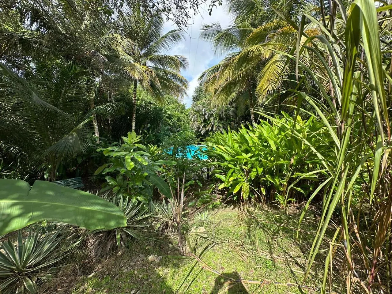 Villa Gwada Reves à Sainte-Anne  0*, Sainte-Anne (Grande-Terre)