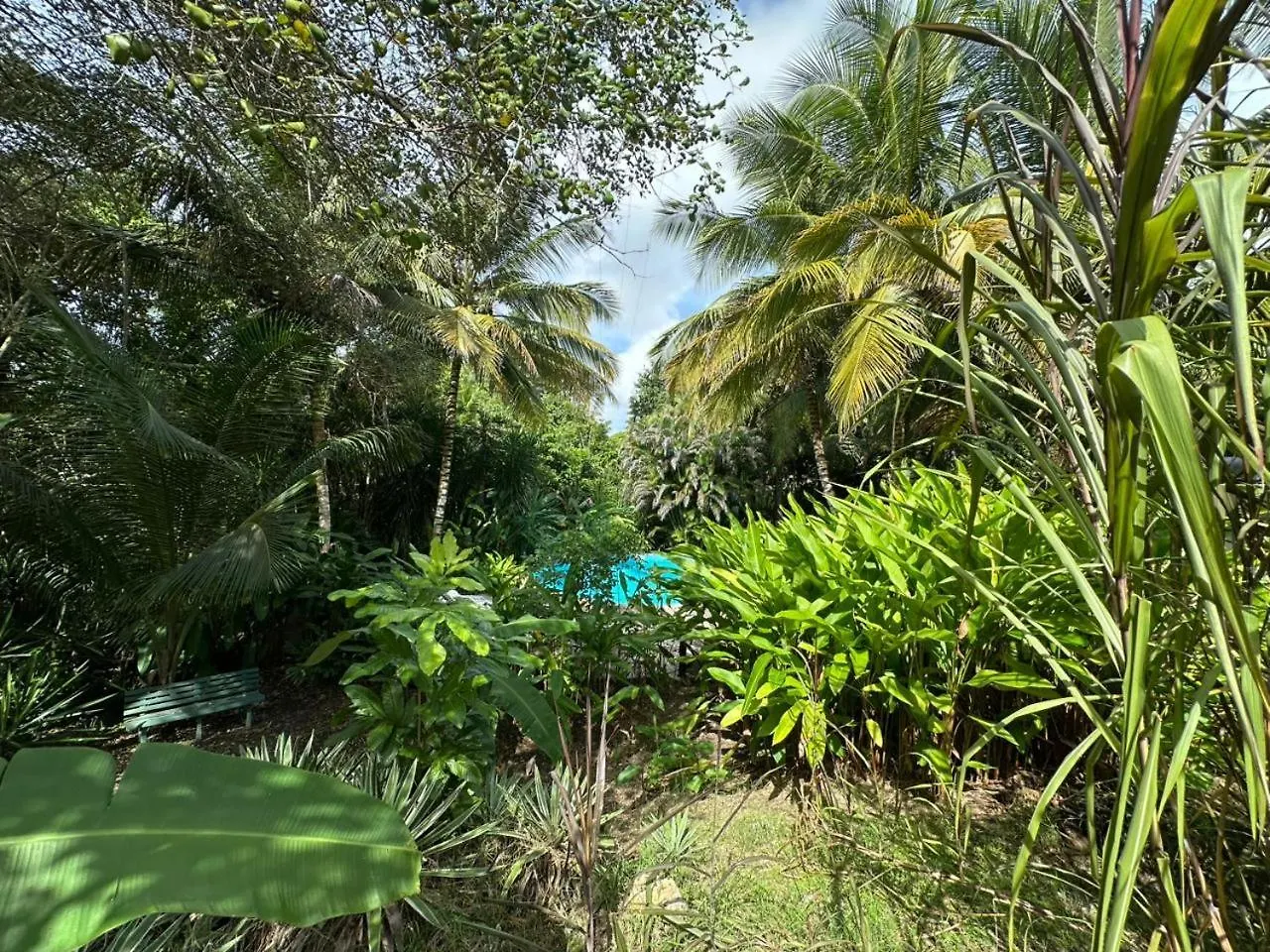 Villa Gwada Reves à Sainte-Anne  Hébergement de vacances