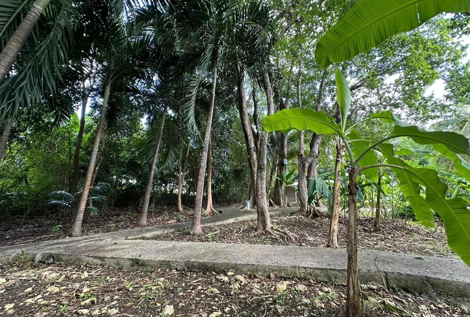 Villa Gwada Reves à Sainte-Anne