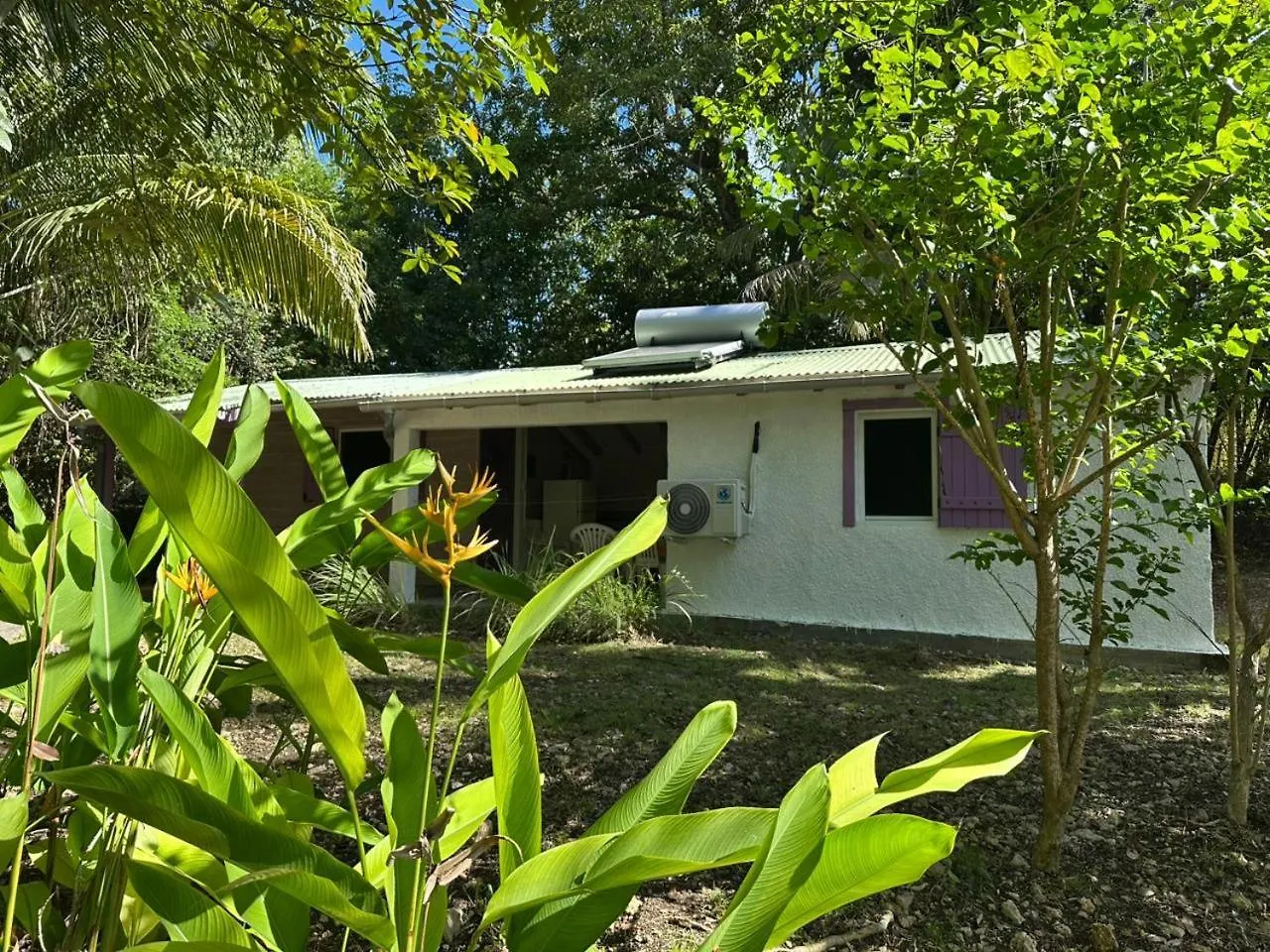 Villa Gwada Reves à Sainte-Anne  0*, Sainte-Anne (Grande-Terre) Guadeloupe