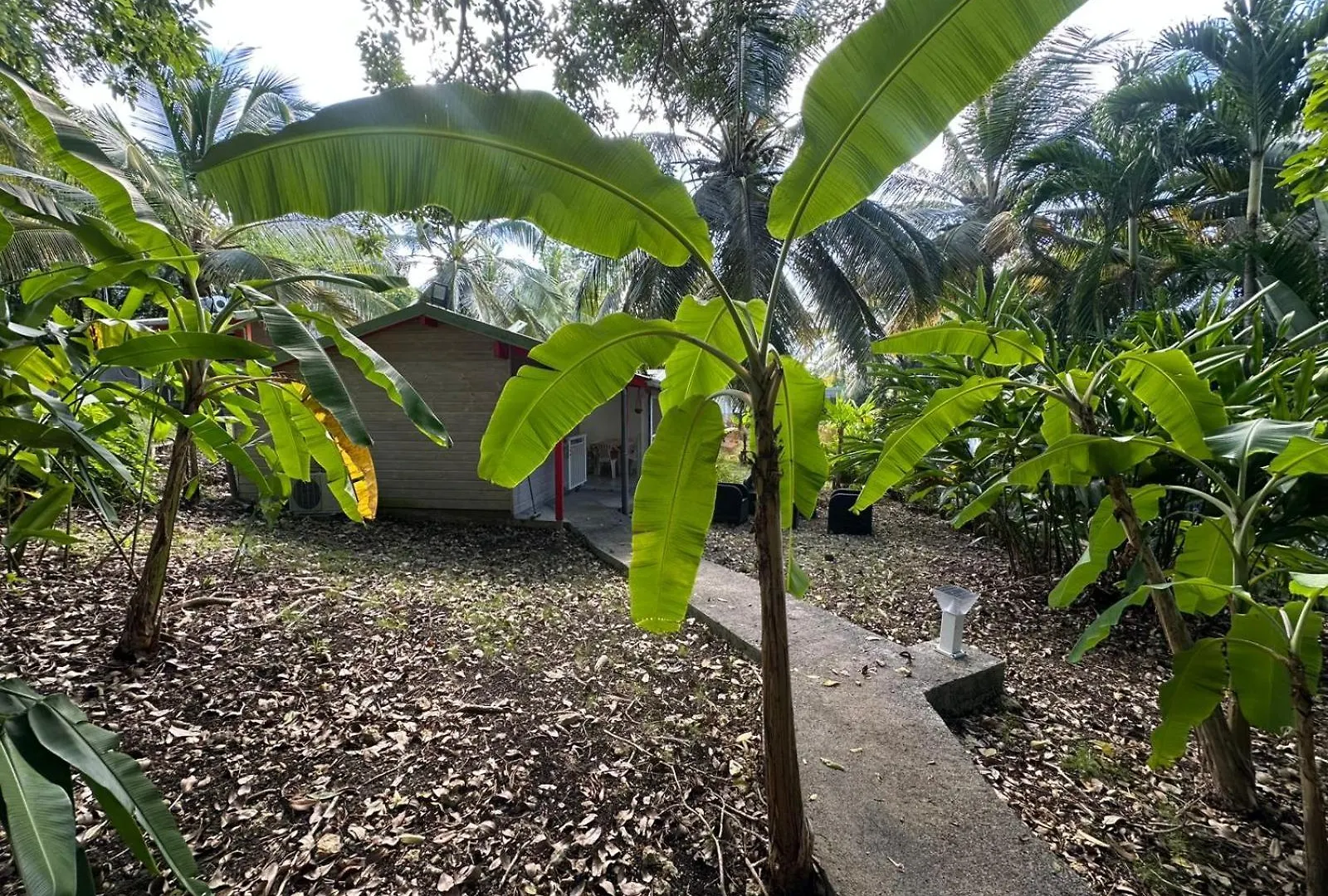Villa Gwada Reves à Sainte-Anne  Hébergement de vacances Sainte-Anne (Grande-Terre)