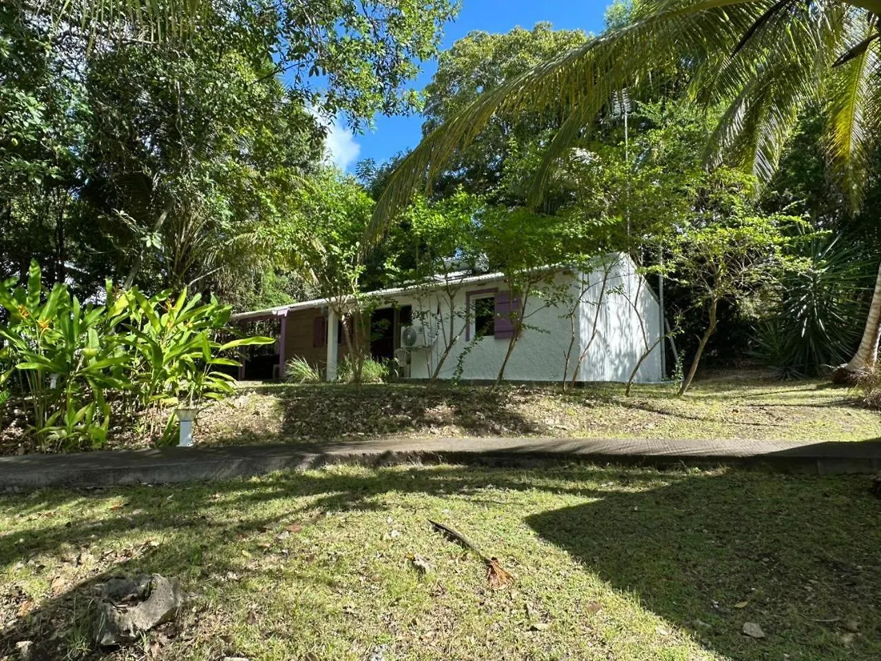 Villa Gwada Reves à Sainte-Anne  Hébergement de vacances Sainte-Anne (Grande-Terre)